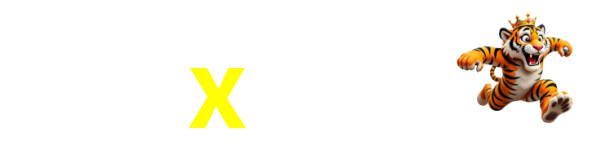 x333