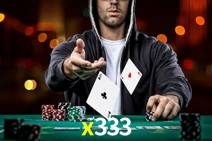 x333