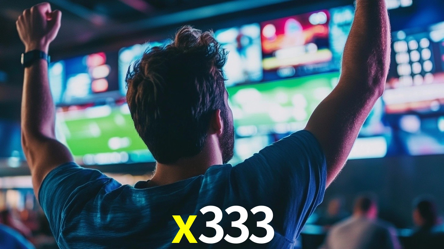 x333